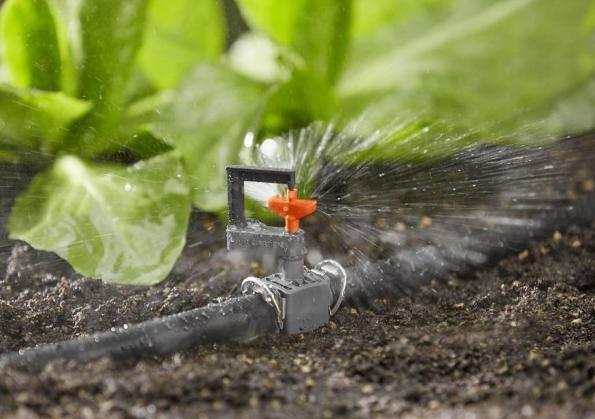 بررسی کیفیت قطره چکان بارانی