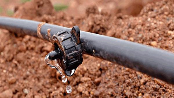 تولید کننده لوله قطره آبیاری