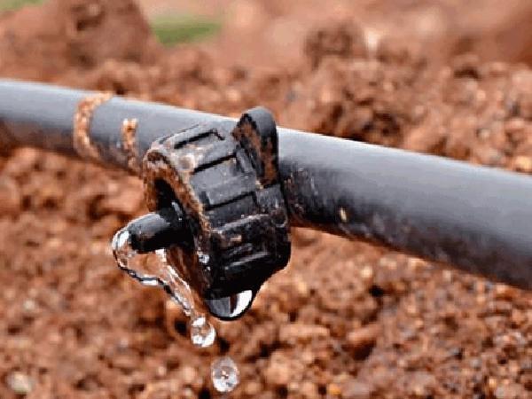 مزایا استفاده شیلنگ آبیاری قطره ای