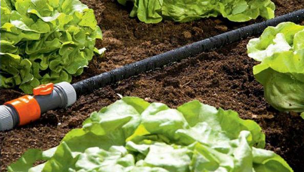 بازار فروش آبیاری قطره ای پلاستیکی